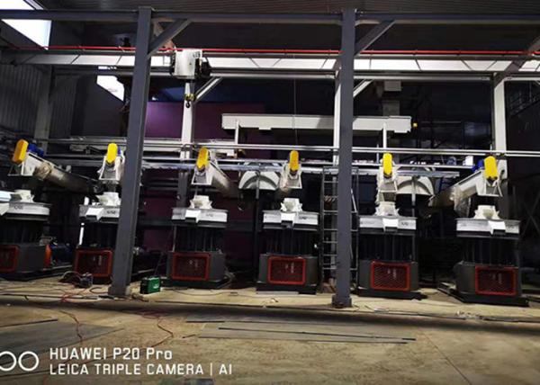 Quality 10-12t/h  Biomass Pellet Production Line for sale