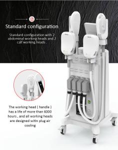 Safety Massage Cellulite Reduction Machine 7 Tesla 1 Year Warranty