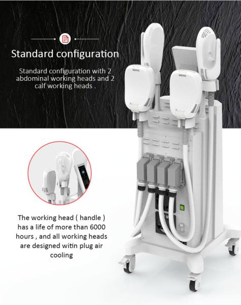Quality Safety Massage Cellulite Reduction Machine 7 Tesla 1 Year Warranty for sale
