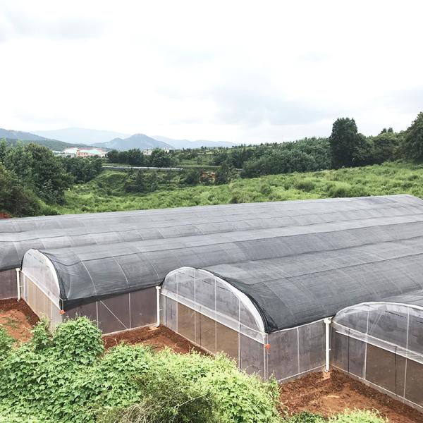 Quality Large Tunnel Plastic Film Single-span Agricultural Nursery Growing Greenhouse for sale