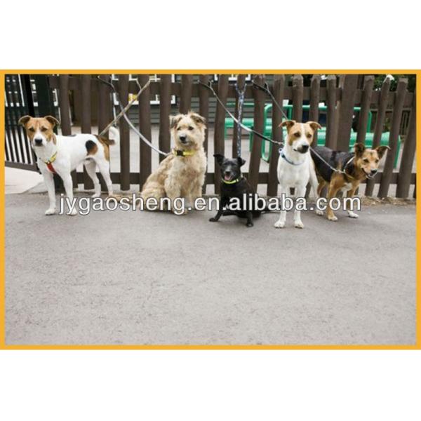 Puppy Walking Led Dog Leash Adjustable Dog Tie Out Cable And Stake