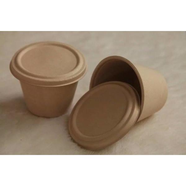 Disposable Lunch Box Making Pulp Thermoforming Machine 1200pcs/hr Customized