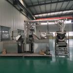 Automatic Continuous Fryer Machine For Peanut / Cashew Nut / Almond Frying