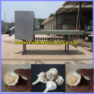 Buy cheap Garlic root cutting machine , dehydrated garlic chips processing machine product