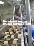 Turnkey Dates Processing Machinery Palm Dates Sorting Drying Washing Dates
