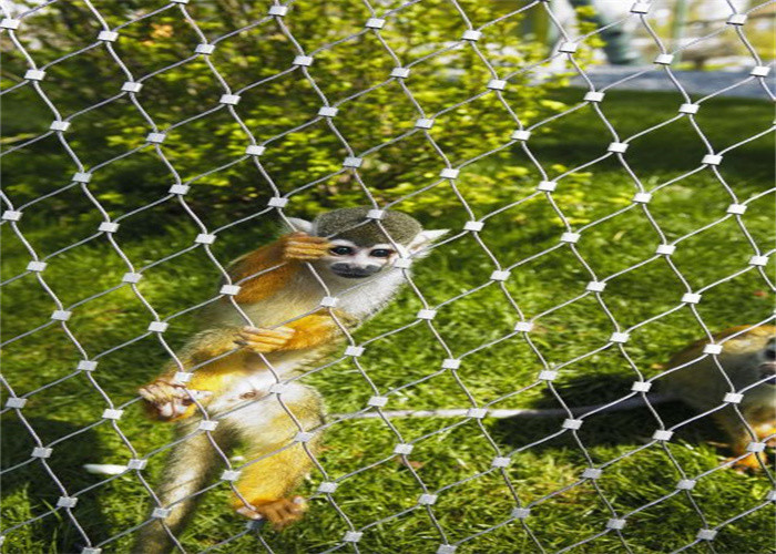 304 316 Aviary Wire Mesh Custom X Tend 3mm Steel
