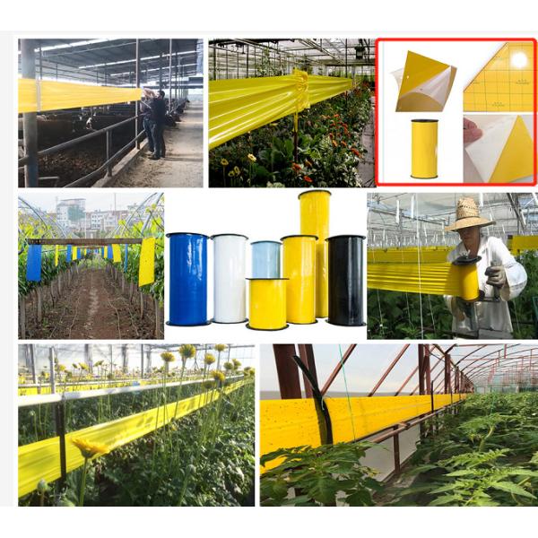 Fruit Fly and Gnat Trap Yellow Sticky Bug Traps for Flies,Mosquitos,Fungus Gnats,Flying Insects Hot Melt Glue Traps Machine