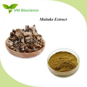 Buy cheap Food Maitake Mushroom Extract Powder Brown Griflola Frondosa Extract product