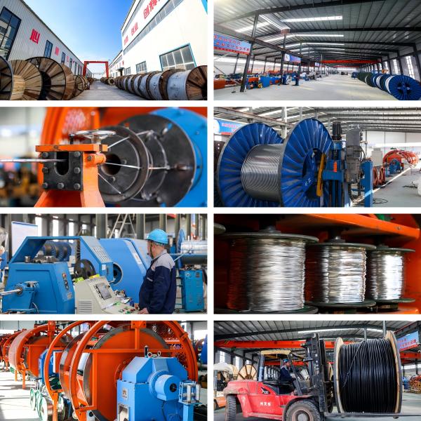 ASTM B 231 Standard AAC Bare Conductor for Overhead Transmission