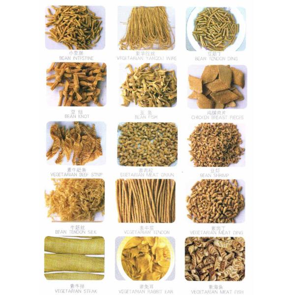Automatic Soya Meat Processing Machine , Vegetarian Meat Processing Equipment