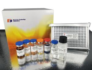 C Reactive Protein Mouse ELISA Kit for Accurate Quantitative Detection