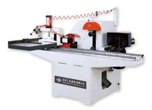 MD2110C Single End Tenoner