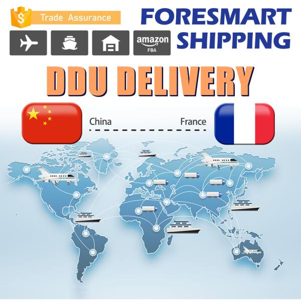 Quality One Stop Service Diretly DDU Shipping , Shipping From China To France for sale