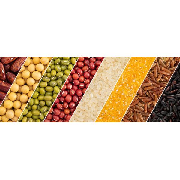 High Speed SS304 Food Vertical Packing Machine For Snack / Coffee Bean / Tea