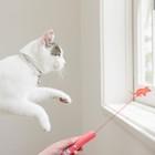 Quality Interactive Light Cat Toys For Indoor Pet Training Tool Laser Pointer for sale