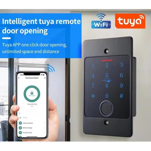 Metal Waterproof Embedded Fingerprint Access Control