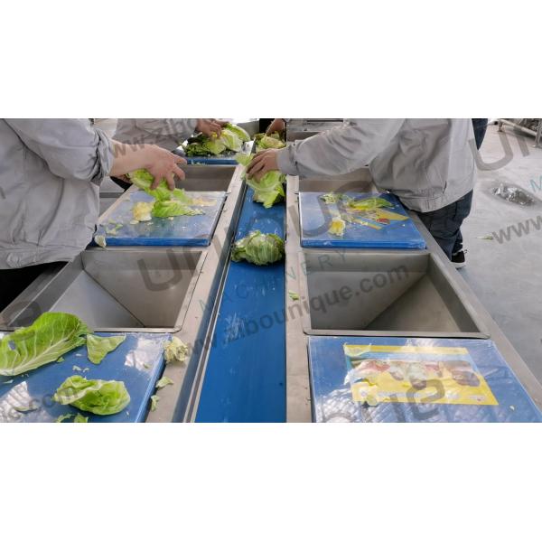 Salad Processing Made Easy Vegetable Washing Machine for Baby Spinach Lettuce Cabbage