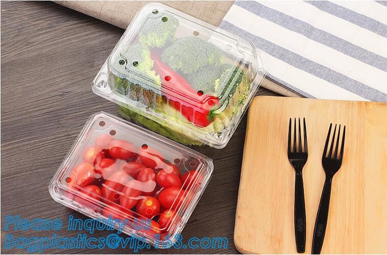 Blister large clear plastic fruit container with lid for fruit packaging,blister fruit box /container/ fruit Tray/ Clear
