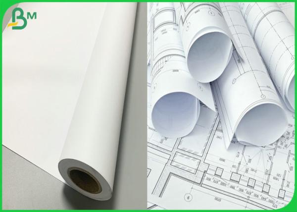 Quality Plotter Paper Matt 80gsm 61cm x 50m A1 A2 Inkjet Plotter Uncoated Paper for sale