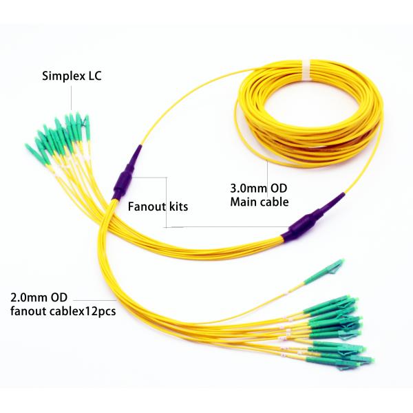 12F micro fanout Fiber Optic Patch Cord LC APC - LC APC SM OS2 main cable 3.0mm OD fanout 2.0mm Cable OD IEC Grade B1