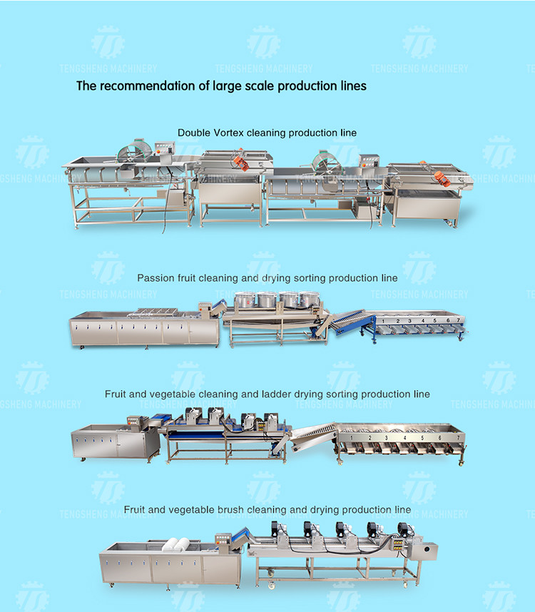 Multifunction Fruit And Vegetable Processing Line Automatic Washing And Sorting Machine