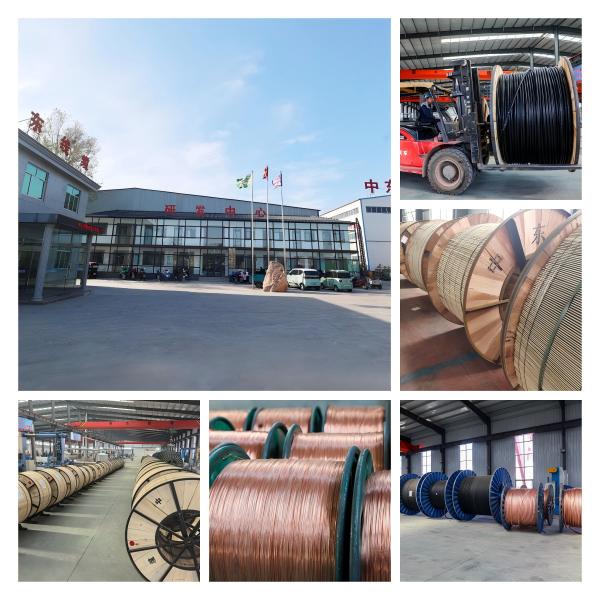 ASTM B 231 Standard AAC Bare Conductor for Overhead Transmission