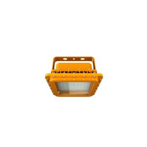 Cheap Atex Listed Explosion Proof Light 200w Waterproof Rectangular Appearance Gas Station LIGHT D SERIES