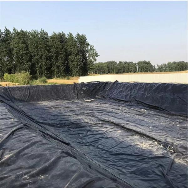 High Density Polyethylene EVA Fish Pond Liner 0.5mm 1mm for Modern Design Style as per