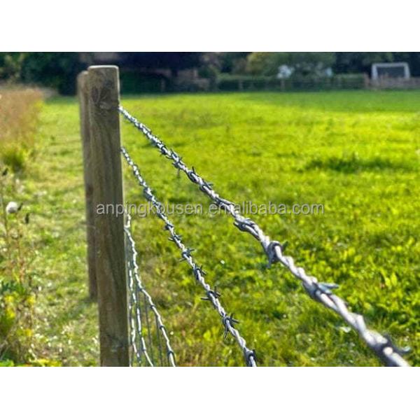 Affordable Safety Fence Barbed Wire with 1.6-3.2mm Wire Diameter and Two Wire Twist