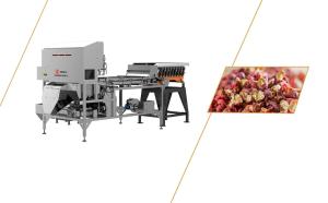 Buy cheap High Speed High Yield Pepper Crawler Sorting Robot 0.5 - 1T/H product