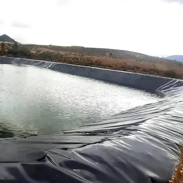 Quality Smooth Face LDPE HDPE Geomembrane Sheet for Fish Farm Shrimp Pond Liner 4-9m Width for sale