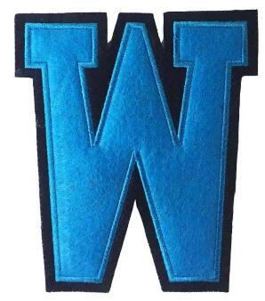 Custom embroidery chenille Hot Selling Promotion Custom Patch Embroidery patches for clothing