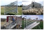 3.2M Hot Dipped Galvanized Cattle Fencing Loading Ramp Adjustable Livestock