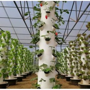 Buy cheap Vertical Farming Container Greenhouse in 40HQ Reefer with Hydroponic Container product