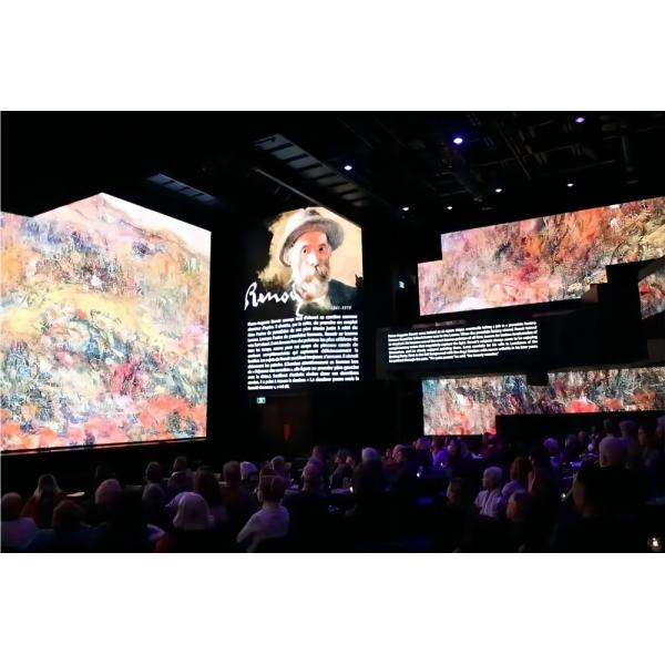 Waterproof Outdoor Rental LED Display P2.6mm P2.9mm 500X1000mm LED Panel