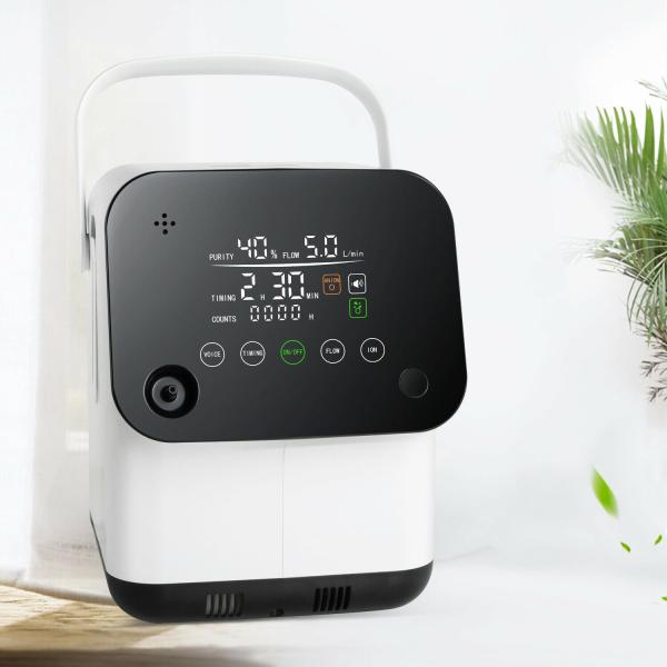 Outdoor Car Mini 2 Litre Oxygen Concentrator Generator For Room