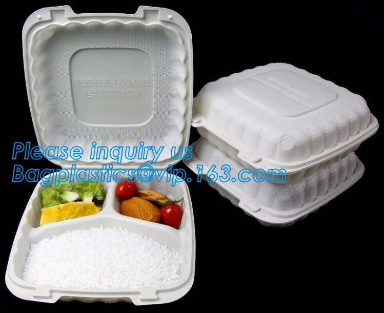 Blister large clear plastic fruit container with lid for fruit packaging,blister fruit box /container/ fruit Tray/ Clear