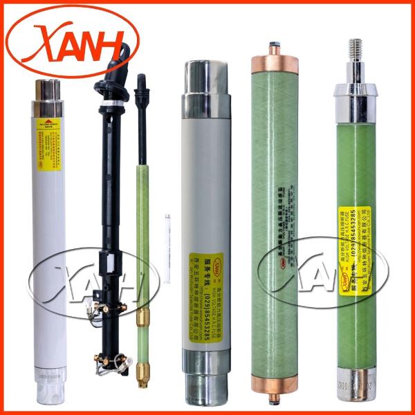 Quality OEM Potential Transformer Fuse Insert Installation Xrnp1/Xrnt/Sfldj/Sdlaj for sale