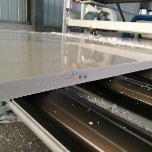 Single Screw Anti Oxidation 220V PP Sheet Making Machine