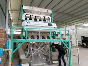 China Cheapest Factory Price Black Plastic Color Sorting Machine For Black Plastic Color Sorting on sale