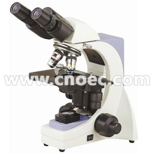 Buy cheap Hobby Biological Compound Optical Microscope With Quadruple Nosepiece A12.1032 product