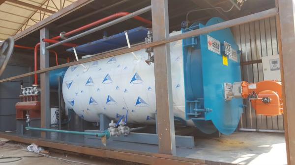 Quality 10Ton Gas Fired Boiler Efficiency Wet Back Structure  Industrial Boiler Use In Milk Factory for sale