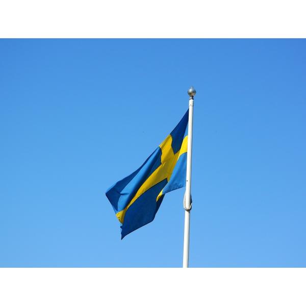 3x5Ft Sweden Flag Polyester Fabric With Two Plastic Hooks Outdoor And Indoor Fabric