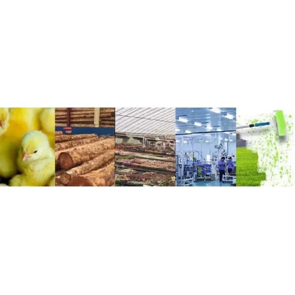 Cheap Price Temperature Control Equipment Kerosene or Diesel Air Heater for Chicken Pig House