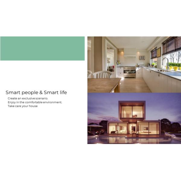 Low Noise Home Kit wifi IOS system Tubular Motor smart roller blinds motorized blinds smartwindow shades voice control