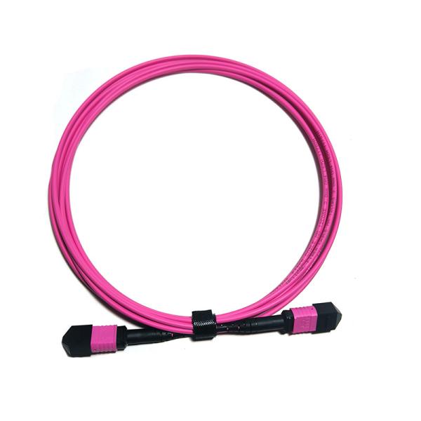 Quality MPO/PC 12 Core OM4 Fiber Patch Cord MPO Fiber Optic Trunk Cable for sale