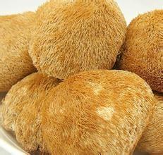 Quality Lions mane mushroom extract 20%,4:1  Stimulated nerve,myelination and animal nerve system for sale