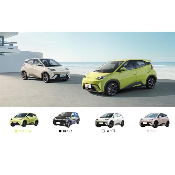 405KM Long Range Energy Car EV BYD Seagull 2024 Flying Edition Battery Capacity 30.08kWh