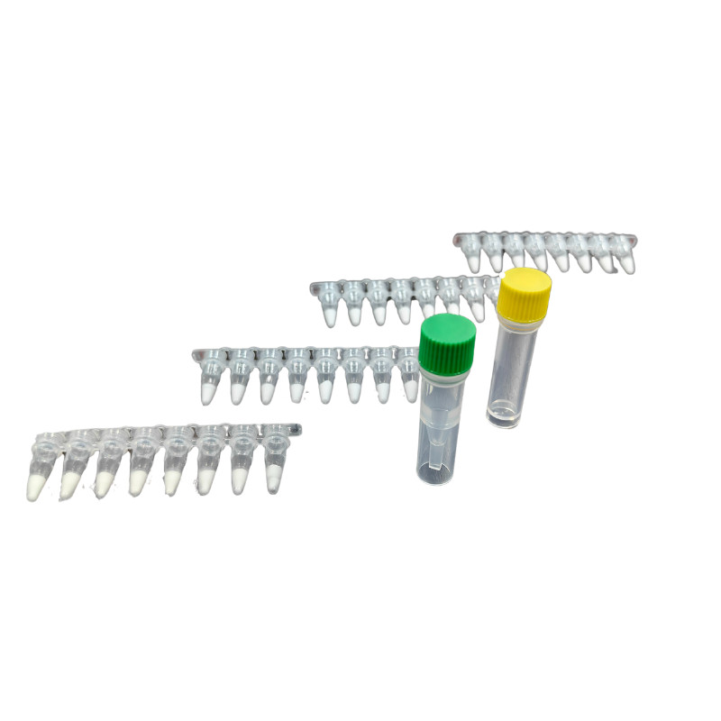 Amp Future Isothermal Amplification Kit RNA Detection Freeze Dried High