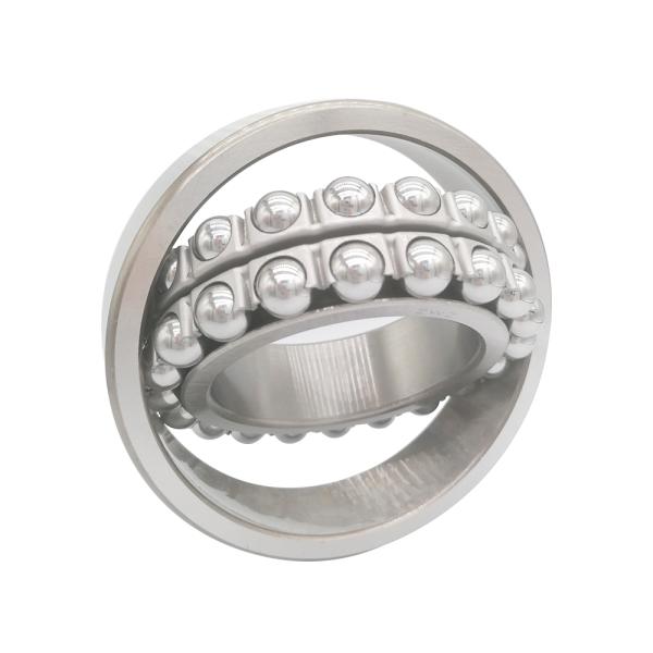 1211 Ceramic Double Row Self Aligning Ball Bearing 2205 2205k